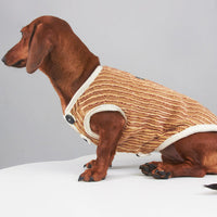 HKM-5657149 Striped Hoodie for Miniature Pinschers and Bichons - Various Sizes Available
