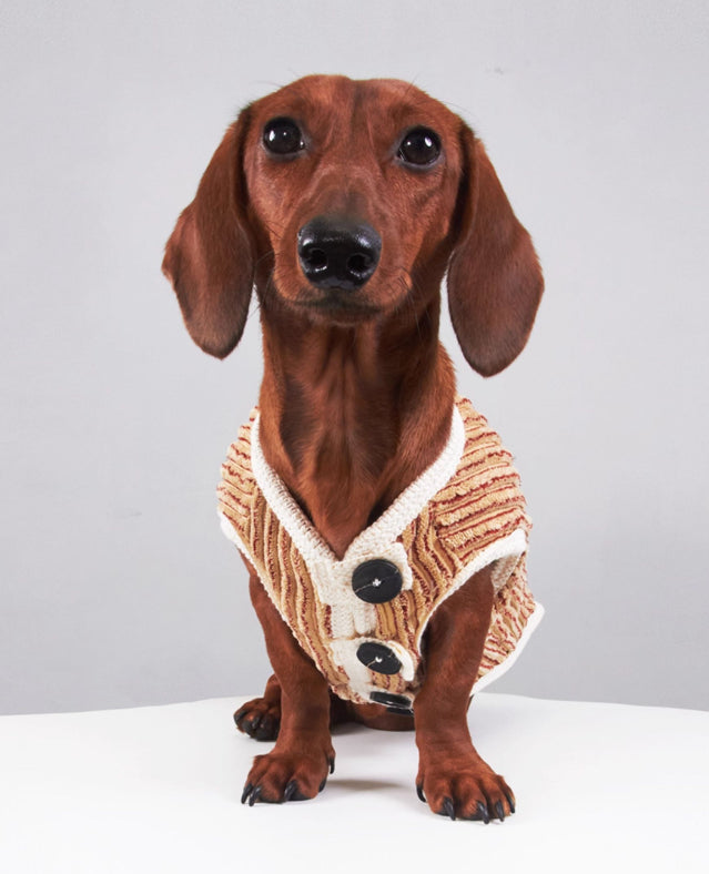 HKM-5657149 Striped Hoodie for Miniature Pinschers and Bichons - Various Sizes Available
