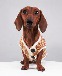 HKM-5657149 Striped Hoodie for Miniature Pinschers and Bichons - Various Sizes Available