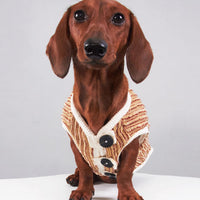 HKM-5657149 Striped Hoodie for Miniature Pinschers and Bichons - Various Sizes Available