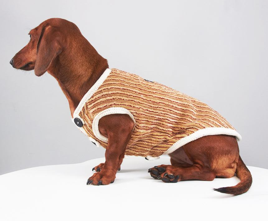HKM-5657149 Striped Hoodie for Miniature Pinschers and Bichons - Various Sizes Available