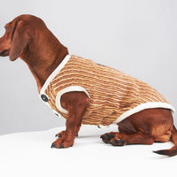 HKM-5657149 Striped Hoodie for Miniature Pinschers and Bichons - Various Sizes Available