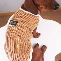 HKM-5657149 Striped Hoodie for Miniature Pinschers and Bichons - Various Sizes Available