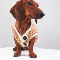HKM-5657149 Striped Hoodie for Miniature Pinschers and Bichons - Various Sizes Available