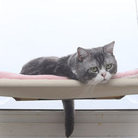 HKM-5665725 Cat Hammock Nest for Comfortable Relaxation – Off-White and Black Mesh Options, 55*35cm, Supports Up to 17.5kg