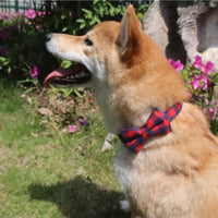 HKM-5666109 British Plaid Adjustable Pet Collar - PU and Cloth, Sizes S, M, L