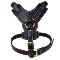 HKM-566931 Cowhide Pet Chest and Back Harness for Medium to Large Dogs - Adjustable Sizes M and L