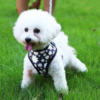 HKM-567251 Breathable Dog Harness and Leash Set with Stylish Print Designs