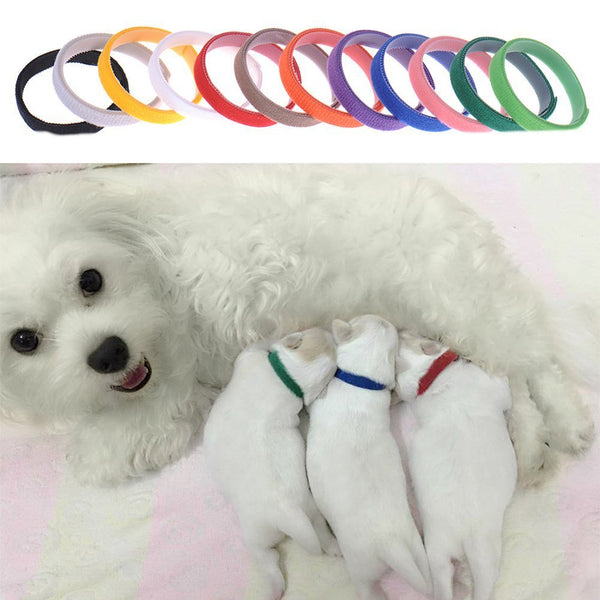 HKM-5677629 Newborn Dog Identification Collars - Nylon, Various Sizes (S-XXL) for Easy Pet ID Tracking