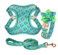 HKM-568083 Cactus Print Vest with Collar, Strap, and Chain for Small to Medium Dogs