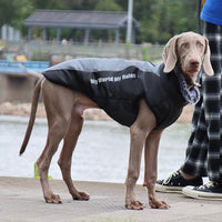 HKM-5683773 Winter Pet Jacket for Dogs in Various Colors and Sizes