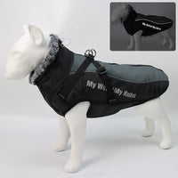 HKM-5683773 Winter Pet Jacket for Dogs in Various Colors and Sizes