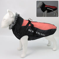 HKM-5683773 Winter Pet Jacket for Dogs in Various Colors and Sizes