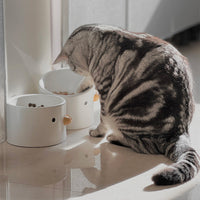 HKM-5685565 Ceramic Slanted Tall Pet Water Bowl with Waterproof Placemat for Dogs and Cats