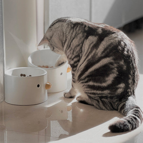 HKM-5685565 Ceramic Slanted Tall Pet Water Bowl with Waterproof Placemat for Dogs and Cats