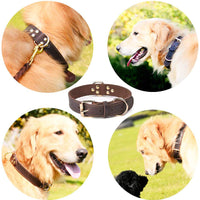 HKM-5687357 Cowhide Dog Collar in Black and Light Brown - Available in Sizes S, M, L (38-65cm)