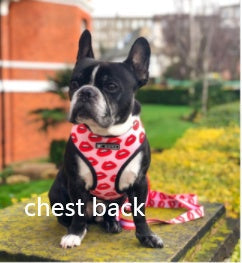 HKM-5690429 Breathable Mesh Chest Strap with Traction Rope for Pets - Unicorn Design