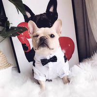HKM-5693501 Elegant British Style Dog Suit Coat for All Sizes