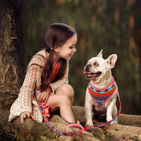 HKM-569555 Trendy Breathable Chest Strap Harness for Small and Medium Dogs - Available in Blue, Purple, Orange
