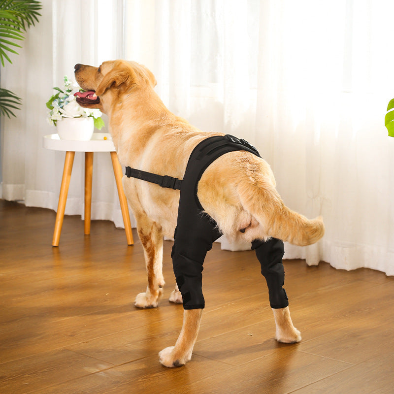 HKM-5695677 Dog Leg Protective Cover for Joint Support - Black & Blue Options Available