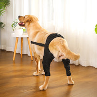 HKM-5695677 Dog Leg Protective Cover for Joint Support - Black & Blue Options Available