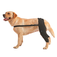 HKM-5695677 Dog Leg Protective Cover for Joint Support - Black & Blue Options Available