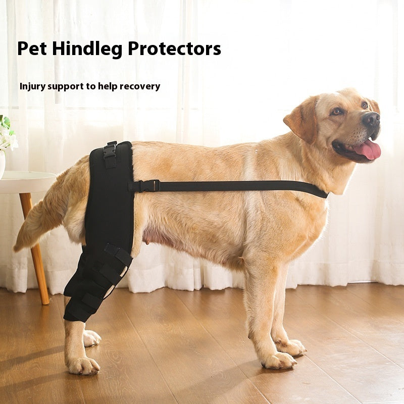 HKM-5695677 Dog Leg Protective Cover for Joint Support - Black & Blue Options Available