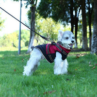 HKM-5696701 Waterproof Casual Cotton Pet Jacket in Red, Sapphire Blue, Army Green - Sizes S to XXL Available