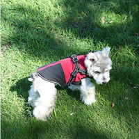 HKM-5696701 Waterproof Casual Cotton Pet Jacket in Red, Sapphire Blue, Army Green - Sizes S to XXL Available