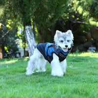 HKM-5696701 Waterproof Casual Cotton Pet Jacket in Red, Sapphire Blue, Army Green - Sizes S to XXL Available