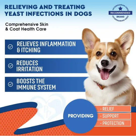 HKM-5696957 Natural Yeast Infection Relief for Dogs - Itchy Skin & Ear Treatment Drops, Reduces Inflammation & Irritation, Promotes Skin Health