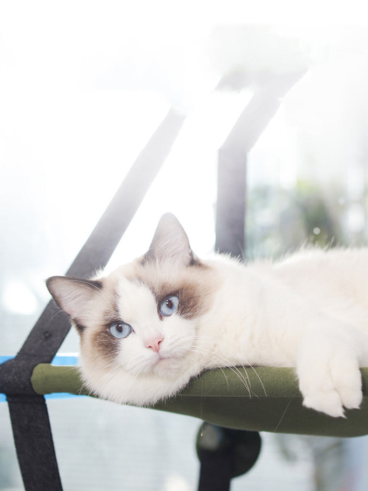 HKM-5698493 Window Sill Cat Hammock with Suction Cups - Comfortable Pet Bed in Green and Blue, Holds up to 35 kg