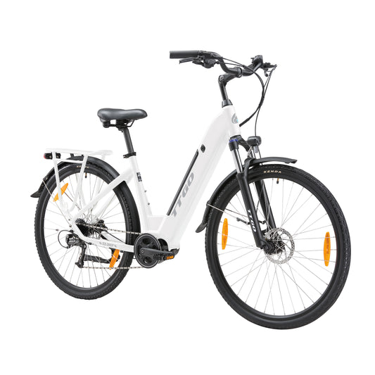 HKM-570835 36V 250W Mid Motor City Electric Bike with 20AH Hidden Battery and 7-Speed Gears