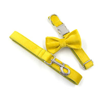 HKM-5712189 Elegant Yellow and Green Velvet Dog Collar and Leash Set with Bow