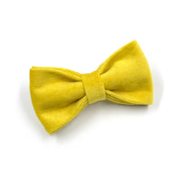 HKM-5712189 Elegant Yellow and Green Velvet Dog Collar and Leash Set with Bow