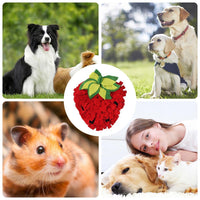 HKM-5715645 Interactive Sniffing Mat for Dogs, Cats, Rabbits - Slow Feeder with Fun Hiding Spots