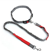 HKM-5717949 Elastic Traction Rope Dog Leash with Waistband and Reflective Strip for Hands-Free Walking and Jogging