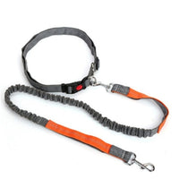 HKM-5717949 Elastic Traction Rope Dog Leash with Waistband and Reflective Strip for Hands-Free Walking and Jogging