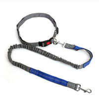 HKM-5717949 Elastic Traction Rope Dog Leash with Waistband and Reflective Strip for Hands-Free Walking and Jogging