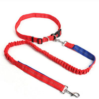 HKM-5717949 Elastic Traction Rope Dog Leash with Waistband and Reflective Strip for Hands-Free Walking and Jogging