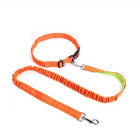 HKM-5717949 Elastic Traction Rope Dog Leash with Waistband and Reflective Strip for Hands-Free Walking and Jogging