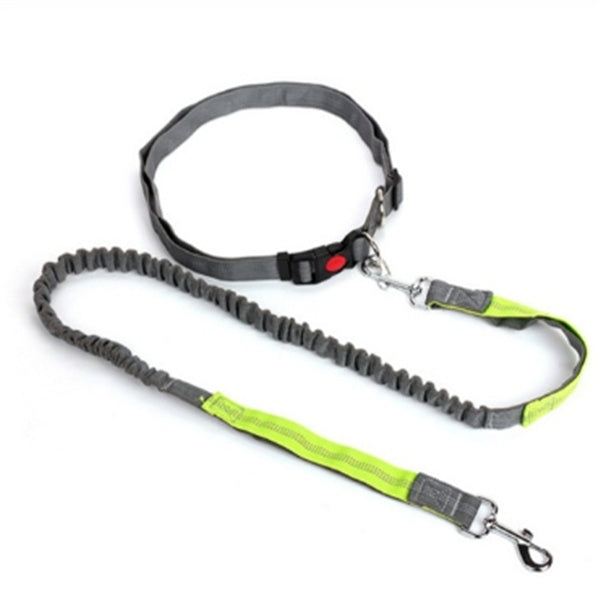 HKM-5717949 Elastic Traction Rope Dog Leash with Waistband and Reflective Strip for Hands-Free Walking and Jogging