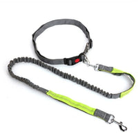 HKM-5717949 Elastic Traction Rope Dog Leash with Waistband and Reflective Strip for Hands-Free Walking and Jogging