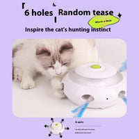 HKM-5730493 Automatic Electric Cat Toy with Rechargeable Function and Interchangeable Heads, Perfect for Pet Playtime