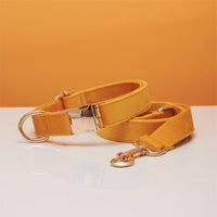 HKM-5731645 Striped Dog Collar with Leash - Available in Coral Orange, Light Water Green, Corn Yellow, Apple Green
