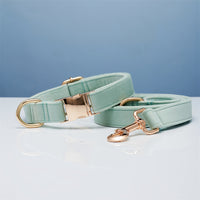 HKM-5731645 Striped Dog Collar with Leash - Available in Coral Orange, Light Water Green, Corn Yellow, Apple Green