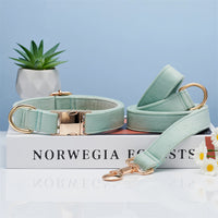 HKM-5731645 Striped Dog Collar with Leash - Available in Coral Orange, Light Water Green, Corn Yellow, Apple Green
