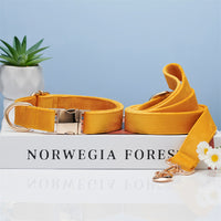 HKM-5731645 Striped Dog Collar with Leash - Available in Coral Orange, Light Water Green, Corn Yellow, Apple Green