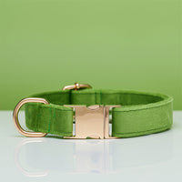 HKM-5731645 Striped Dog Collar with Leash - Available in Coral Orange, Light Water Green, Corn Yellow, Apple Green