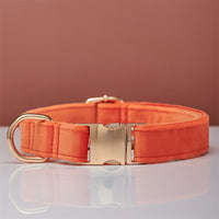 HKM-5731645 Striped Dog Collar with Leash - Available in Coral Orange, Light Water Green, Corn Yellow, Apple Green